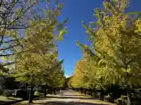 【公式】龍門院常楽寺(秩父札所十一番)の自然