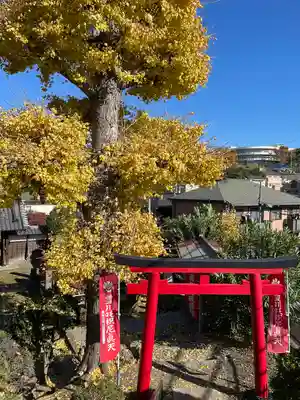 勝國寺(神奈川県)
