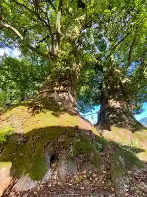 尾鷲神社(三重県)