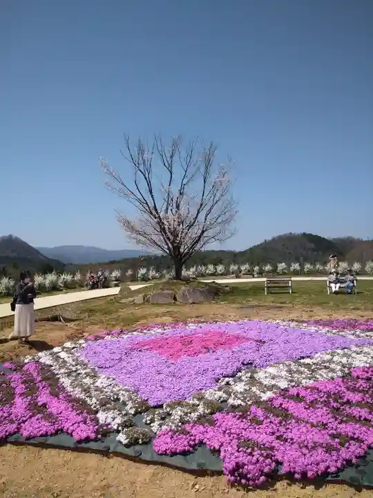 巳徳神社の自然
