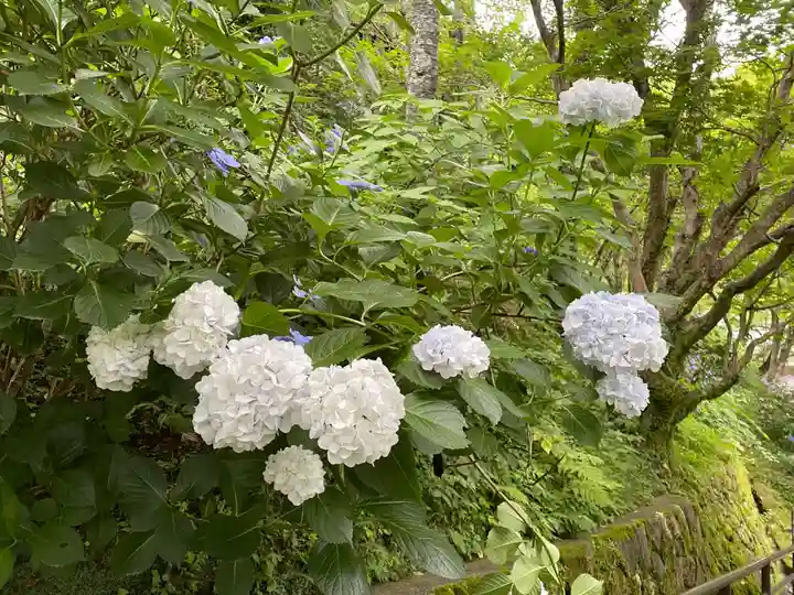 奥の院(菩提院)(奈良県)