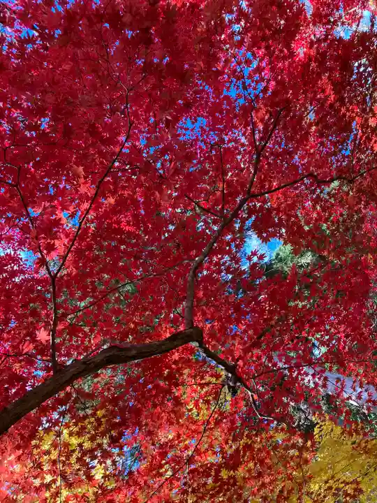 洞光寺(兵庫県)