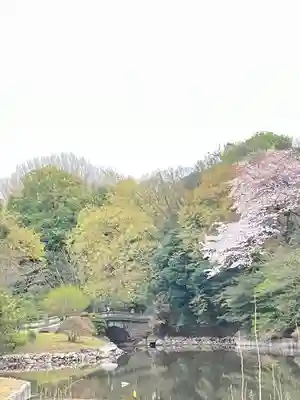 明治神宮(東京都)