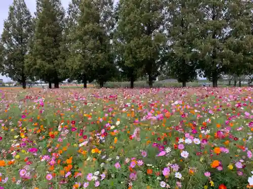 布施弁天 東海寺の自然