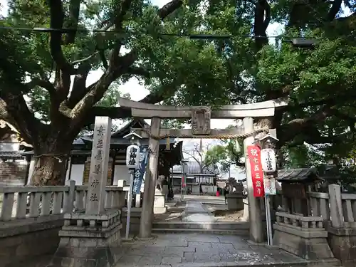 素盞嗚尊神社の鳥居