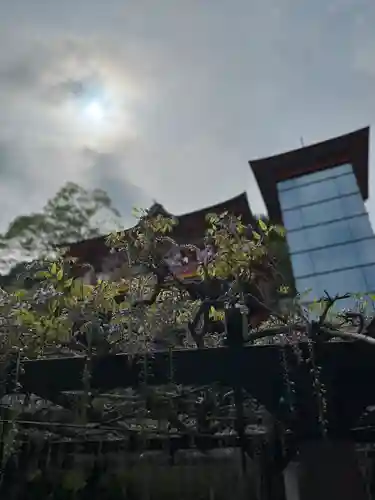 祐徳稲荷神社(佐賀県)