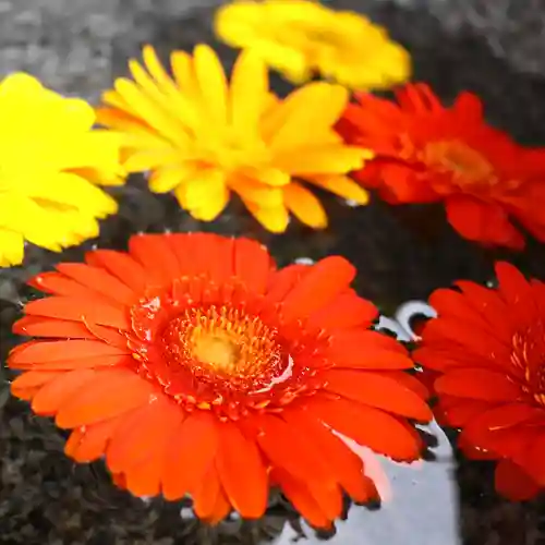 三津厳島神社の手水舎