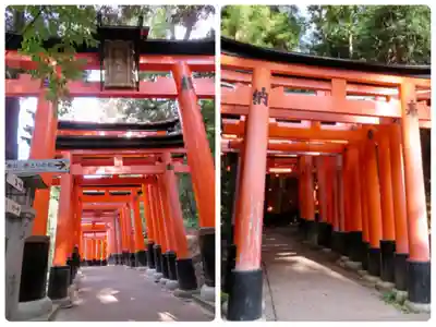 伏見稲荷大社の鳥居