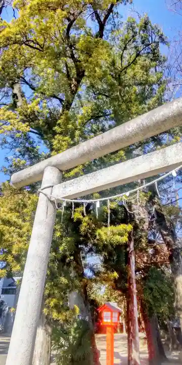 氷川神社(東京都)