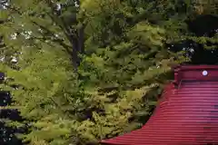 山神社の景色