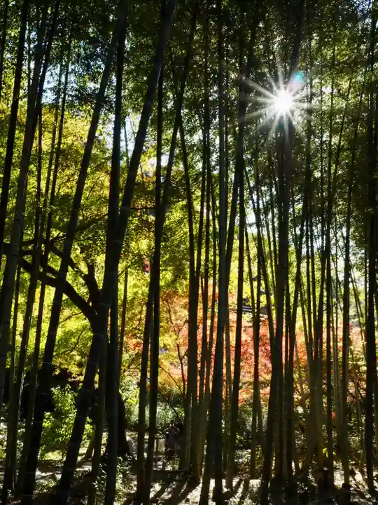 回春院(神奈川県)