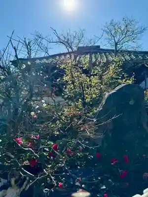 大蓮寺(京都府)