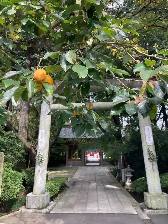 安住神社(栃木県)