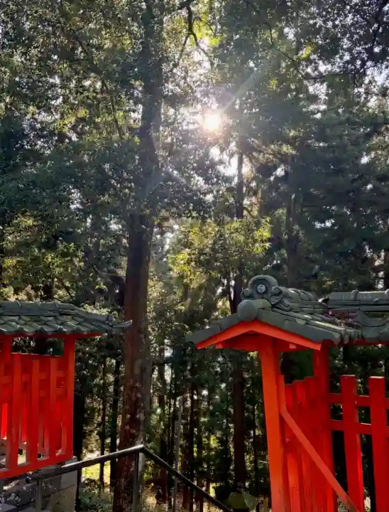 蚊里田八幡宮の{uncategorized: "未分類", other: "その他", undefined: "問題あり", building: "その他建物", grave: "お墓", sacred_gate: "鳥居", guardian: "狛犬", statue: "像", buddha: "仏像", history: "歴史", nature: "自然", garden: "庭園", animal: "動物", pagoda: "塔", temizu: "手水舎", mountain_gate: "山門・神門", sanctuary: "本殿・本堂", subordinate: "末社・摂社", art: "芸術", scenery: "景色", jizo: "地蔵", ema: "絵馬", goshuin: "御朱印", omikuji: "おみくじ", items: "授与品その他", amulet: "お守り", goshuincho: "御朱印帳", eats: "食事", festival: "お祭り", votive_dance: "神楽", shichigosan: "七五三参", wedding: "結婚式", experience: "体験その他", initially: "初詣", around: "周辺", anti_infection: "感染症対策"}