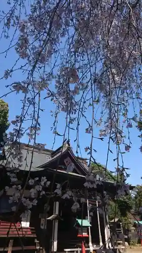 下野國一社八幡宮の本殿