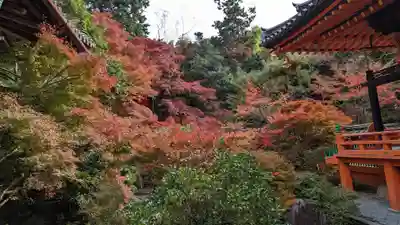 毘沙門堂門跡(京都府)