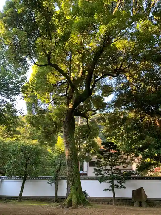 早雲寺(神奈川県)