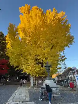 熊野大社の{uncategorized: "未分類", other: "その他", undefined: "問題あり", building: "その他建物", grave: "お墓", sacred_gate: "鳥居", guardian: "狛犬", statue: "像", buddha: "仏像", history: "歴史", nature: "自然", garden: "庭園", animal: "動物", pagoda: "塔", temizu: "手水舎", mountain_gate: "山門・神門", sanctuary: "本殿・本堂", subordinate: "末社・摂社", art: "芸術", scenery: "景色", jizo: "地蔵", ema: "絵馬", goshuin: "御朱印", omikuji: "おみくじ", items: "授与品その他", amulet: "お守り", goshuincho: "御朱印帳", eats: "食事", festival: "お祭り", votive_dance: "神楽", shichigosan: "七五三参", wedding: "結婚式", experience: "体験その他", initially: "初詣", around: "周辺", anti_infection: "感染症対策"}