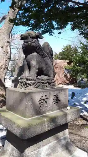 新琴似神社の狛犬