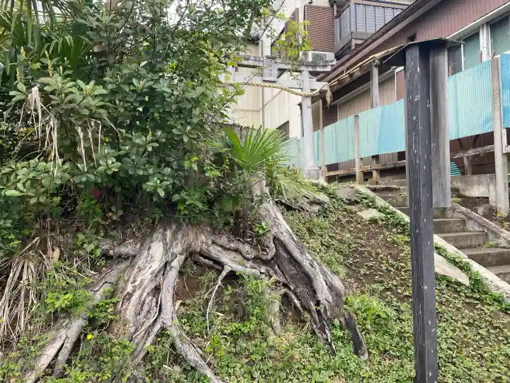 三峯神社の{uncategorized: "未分類", other: "その他", undefined: "問題あり", building: "その他建物", grave: "お墓", sacred_gate: "鳥居", guardian: "狛犬", statue: "像", buddha: "仏像", history: "歴史", nature: "自然", garden: "庭園", animal: "動物", pagoda: "塔", temizu: "手水舎", mountain_gate: "山門・神門", sanctuary: "本殿・本堂", subordinate: "末社・摂社", art: "芸術", scenery: "景色", jizo: "地蔵", ema: "絵馬", goshuin: "御朱印", omikuji: "おみくじ", items: "授与品その他", amulet: "お守り", goshuincho: "御朱印帳", eats: "食事", festival: "お祭り", votive_dance: "神楽", shichigosan: "七五三参", wedding: "結婚式", experience: "体験その他", initially: "初詣", around: "周辺", anti_infection: "感染症対策"}
