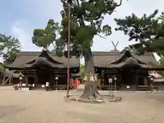 住吉大社の建物その他