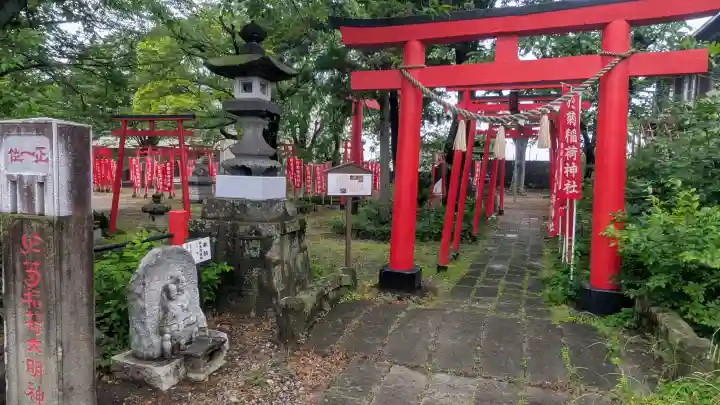 於菊稲荷神社の{uncategorized: "未分類", other: "その他", undefined: "問題あり", building: "その他建物", grave: "お墓", sacred_gate: "鳥居", guardian: "狛犬", statue: "像", buddha: "仏像", history: "歴史", nature: "自然", garden: "庭園", animal: "動物", pagoda: "塔", temizu: "手水舎", mountain_gate: "山門・神門", sanctuary: "本殿・本堂", subordinate: "末社・摂社", art: "芸術", scenery: "景色", jizo: "地蔵", ema: "絵馬", goshuin: "御朱印", omikuji: "おみくじ", items: "授与品その他", amulet: "お守り", goshuincho: "御朱印帳", eats: "食事", festival: "お祭り", votive_dance: "神楽", shichigosan: "七五三参", wedding: "結婚式", experience: "体験その他", initially: "初詣", around: "周辺", anti_infection: "感染症対策"}