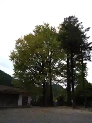 甲佐神社(熊本県)