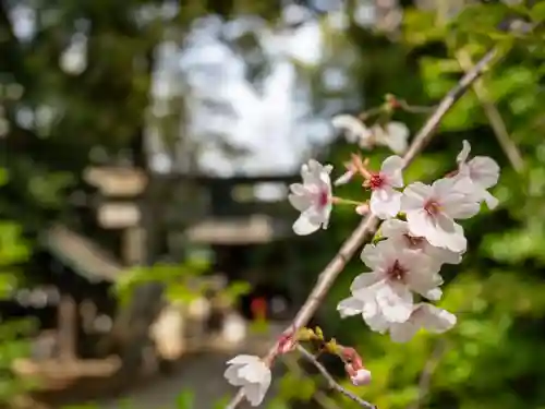 赤坂氷川神社(東京都)