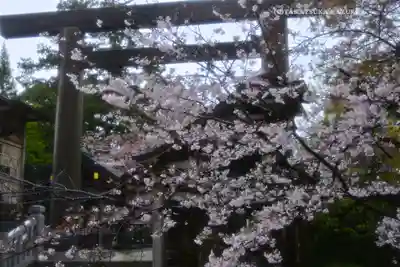 伊勢山皇大神宮(神奈川県)