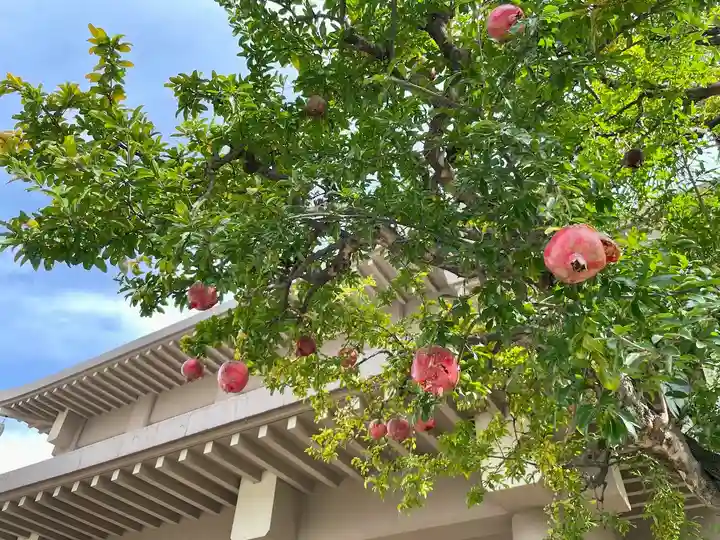 福王山 慈眼寺の自然