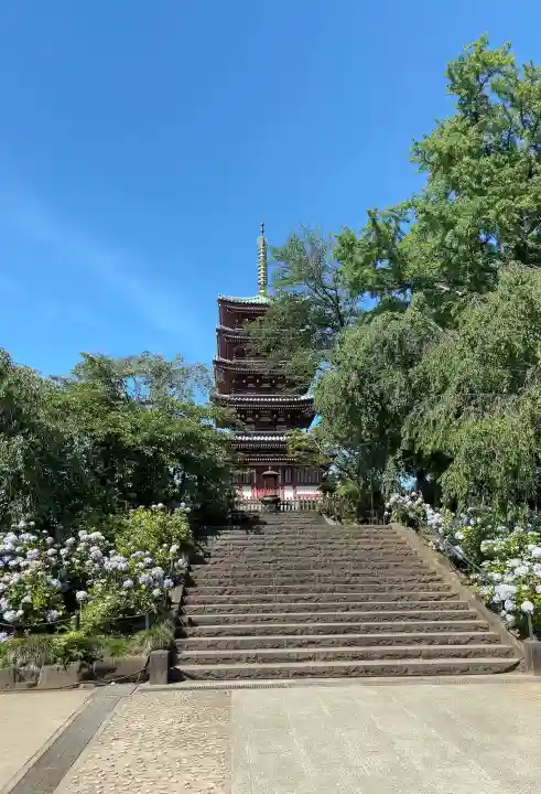 本土寺(千葉県)