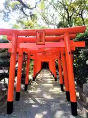 太郎稲荷神社の鳥居