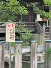 新潟大神宮(新潟県)