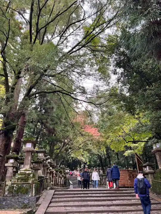 春日大社(奈良県)