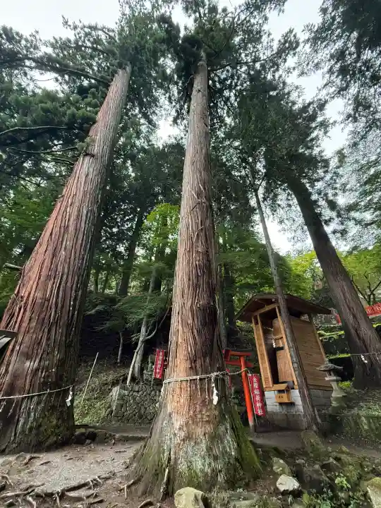 金櫻神社(山梨県)