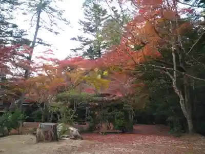 四宮神社の自然