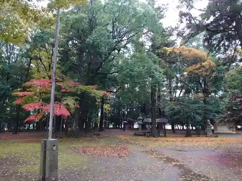 東蕗田天満社のその他建物
