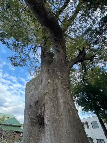 二之江神社(東京都)