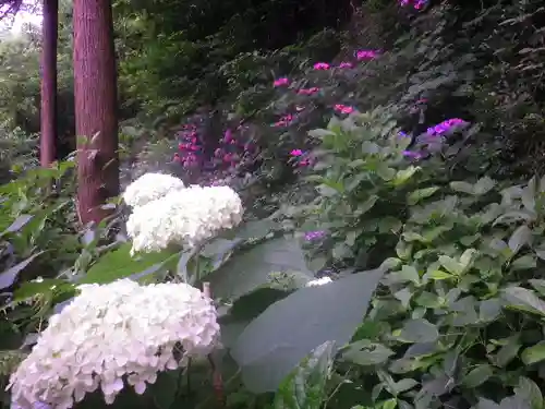 御霊神社の自然