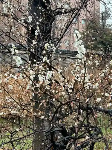 湯島聖堂の自然