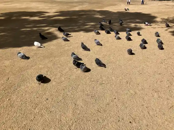 長田神社(兵庫県)