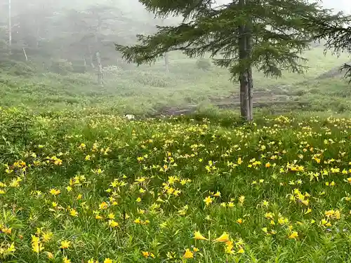 山の神神社の自然