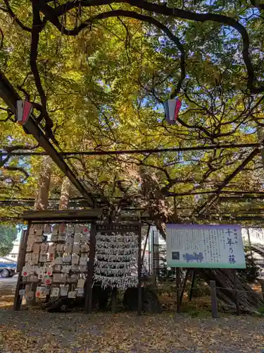 國領神社(東京都)