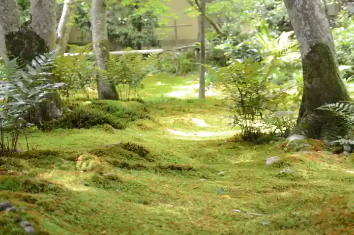 祇王寺(京都府)