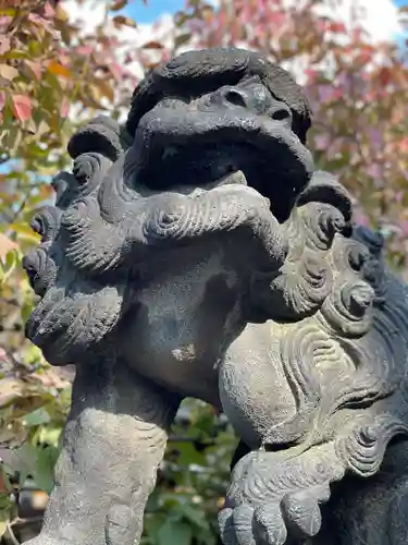 湯島天満宮の狛犬