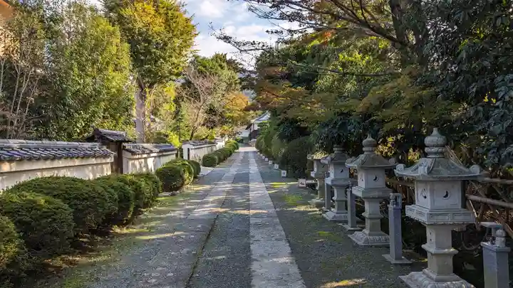 隨心院(随心院)(京都府)