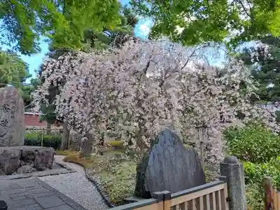 建仁寺（建仁禅寺）(京都府)