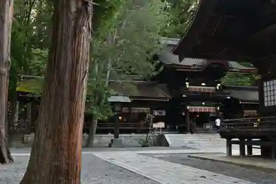 諏訪大社下社秋宮(長野県)