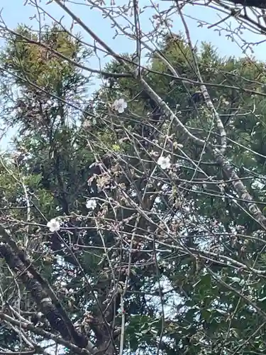 国上寺(新潟県)