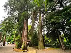 白山比咩神社(石川県)